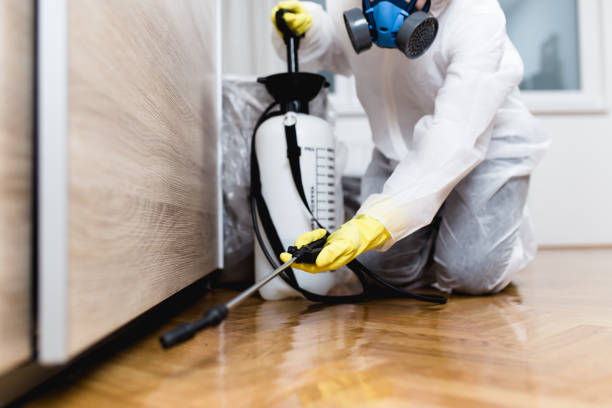 Best Residential Pest Control  in Marietta, GA