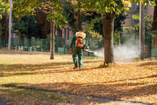 Best Bed Bug Extermination  in Marietta, GA