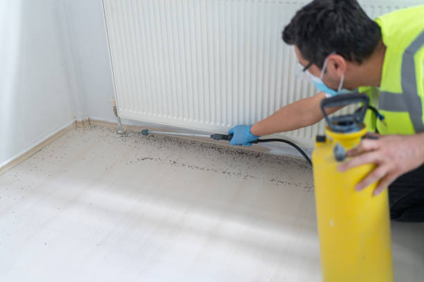 Reliable Marietta, GA Pest Control Solutions