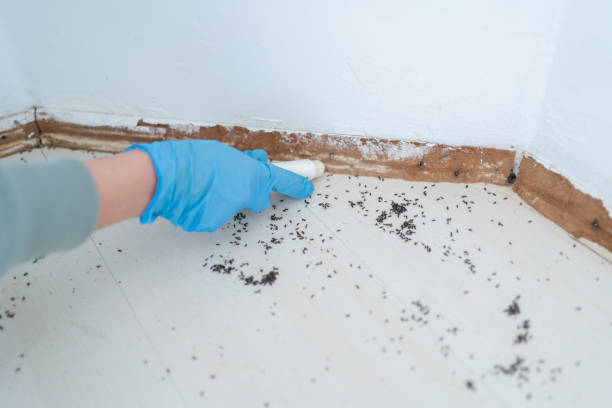 Best Cockroach Control Services  in Marietta, GA
